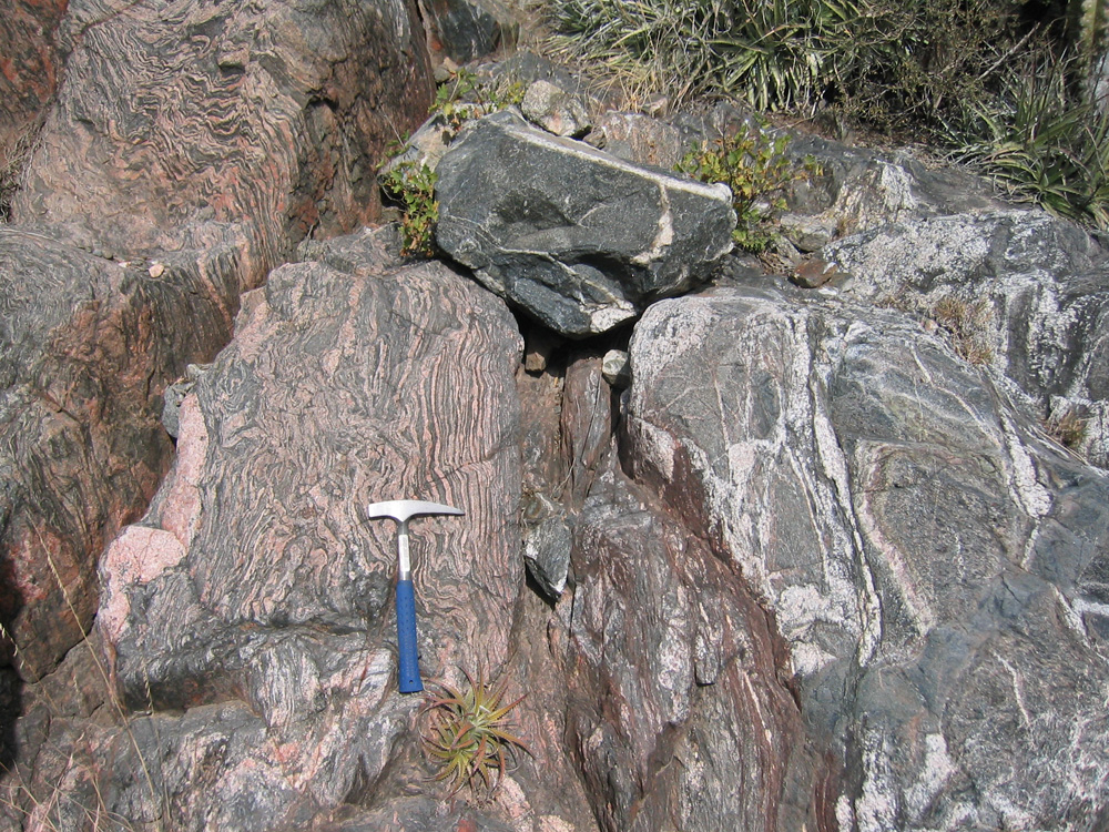 Figure 5. Contact between upper mafic complex and metasediments forming stomatic migmatites with leucogranite, and back-veining into gabbro from the Sierra Valle Fértil. Photo credit: George Bergantz.